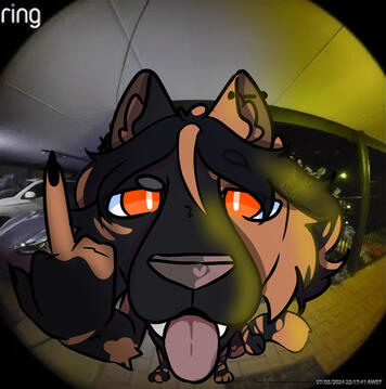 BrainGone